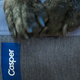 Illustration for article titled Casper Made a New Mattress...For Dogs
